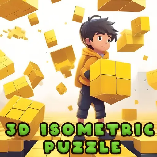 3d Puzzle